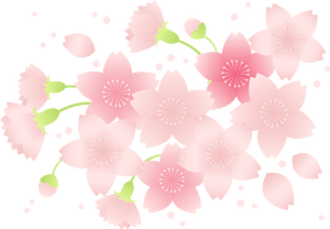 Cherry Blossom Flower