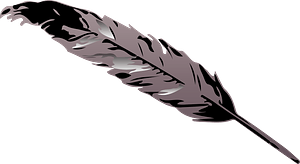 Grey feather