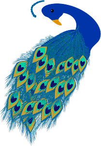 Pavo real