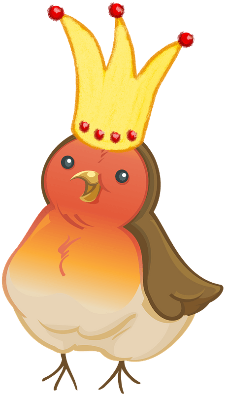 Christmas bird