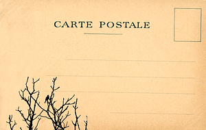 Vintage postcard