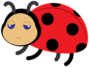 Ladybug