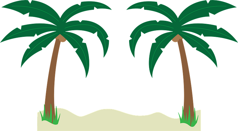 Palm trees on the beach
