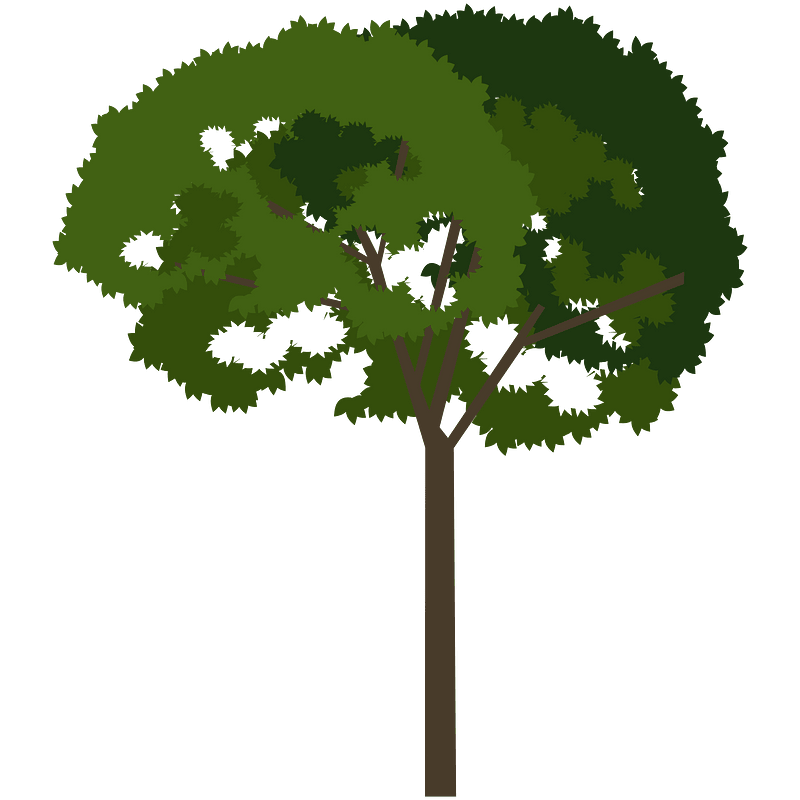 Minimalist Tree Design
