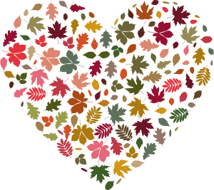 Autumn Leaves Heart Fall Colors