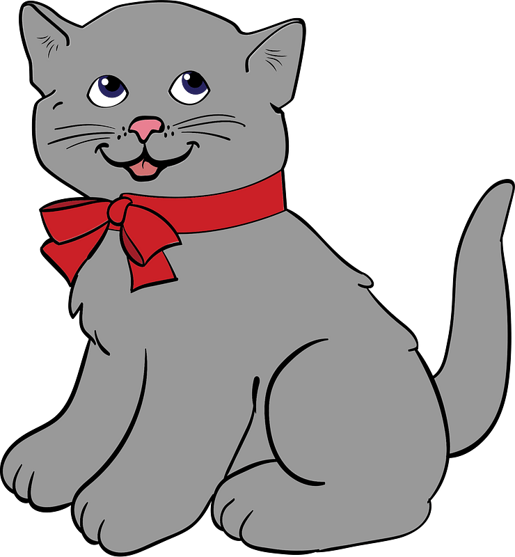 Grey kitten