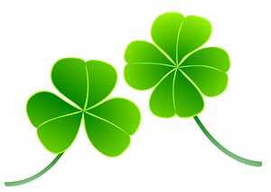 clover