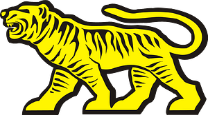 Siberian Tiger