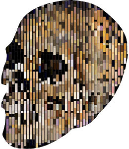 Abstract Rectangles geometric skull