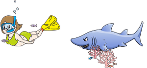 Shark Hunts a Lady