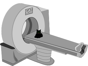 CAT Scan