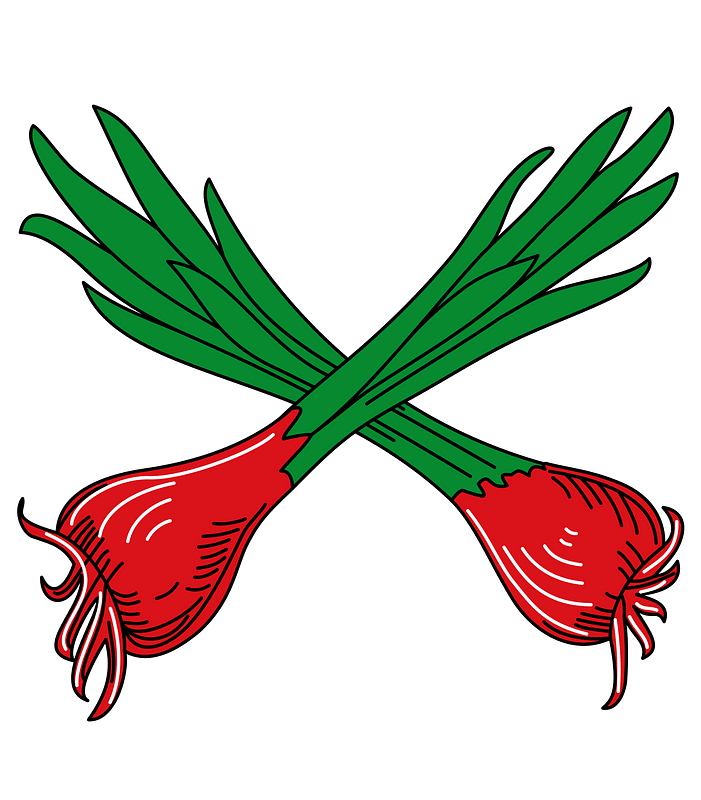 Crossed Onions