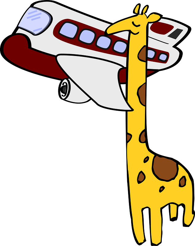 Giraffe Looking into an Airplane