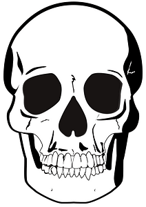 Black & White Skull