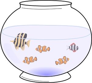 Fish in a Fishbowl