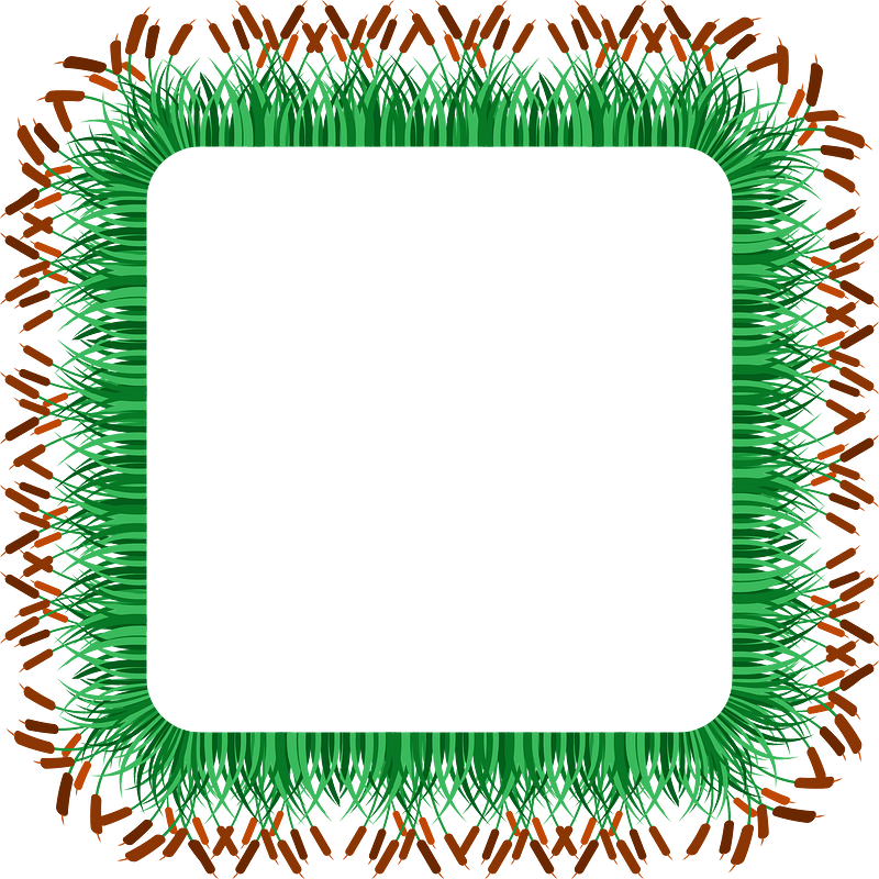 Cat Tails And Grass Frame 2