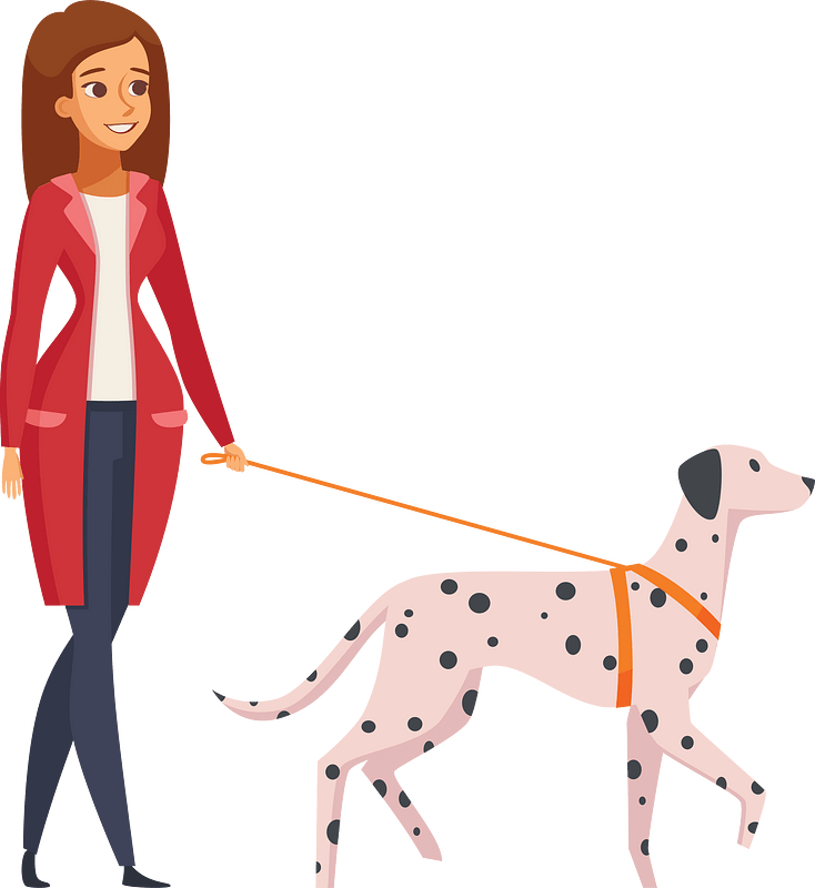 Woman Walking Dalmatian Dog