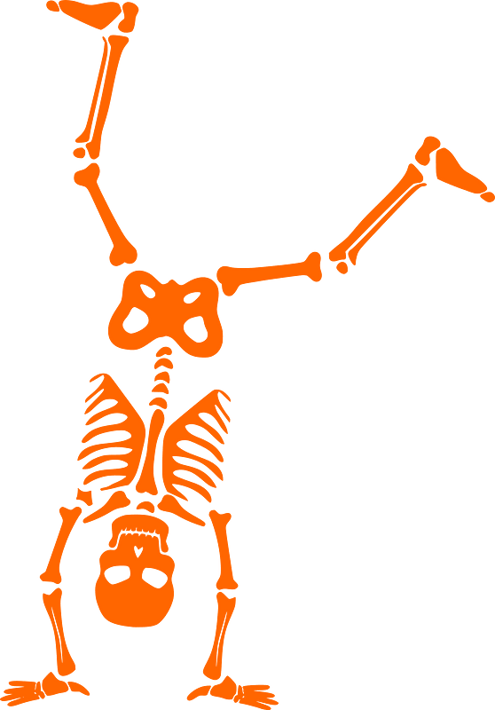 Playful Halloween Skeleton