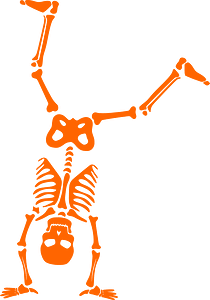 Playful Halloween Skeleton