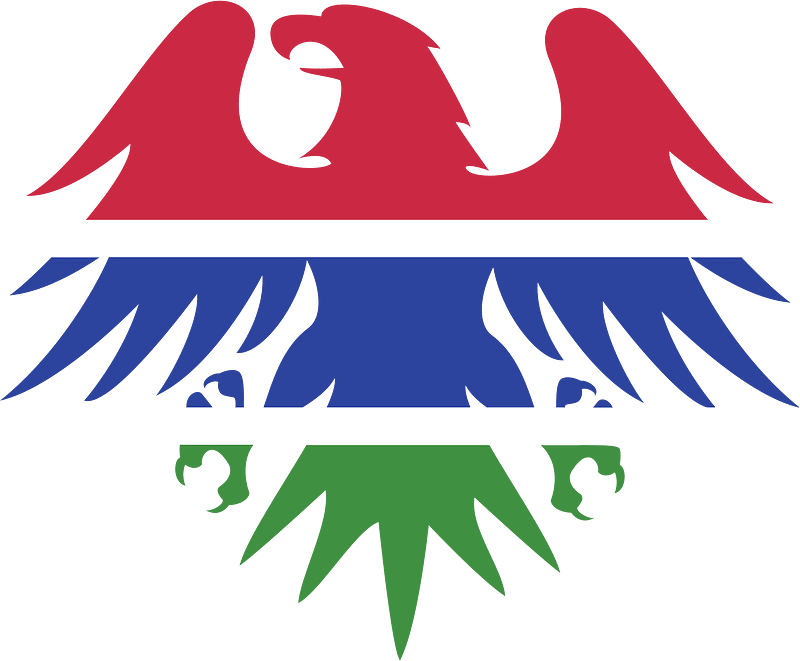 Gambian flag eagle emblem