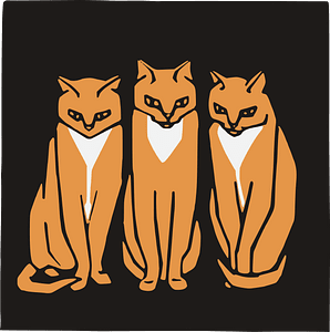 Judgemental cats