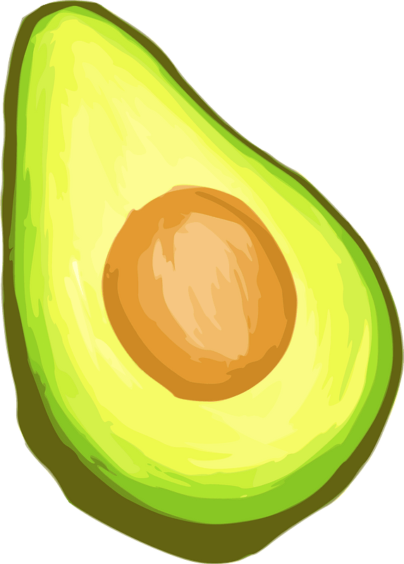 Avocado - Isolated