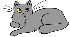 Cute cat