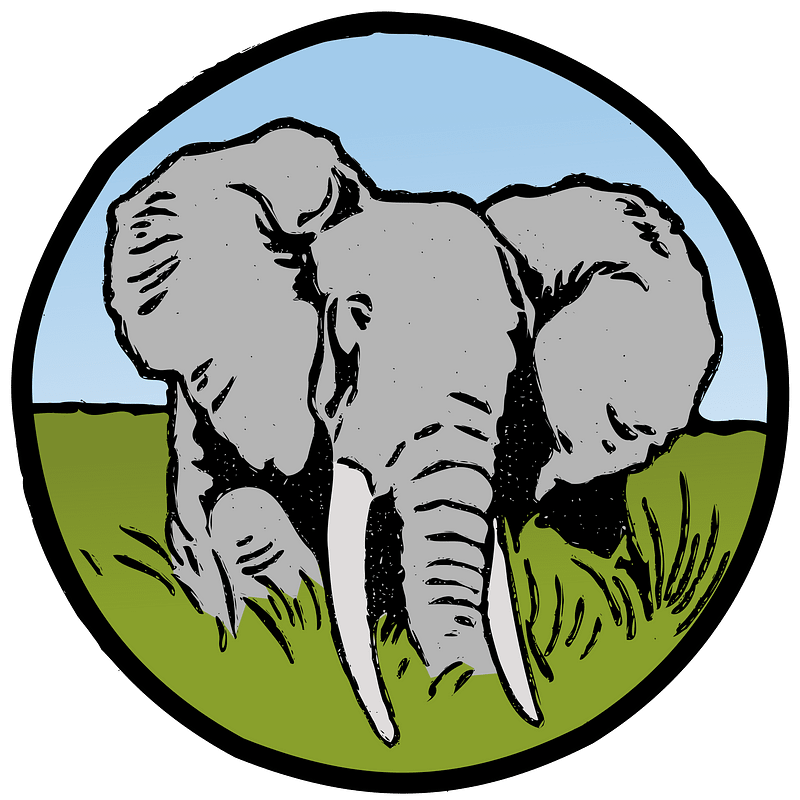 Elephant Circle - Colour Remix