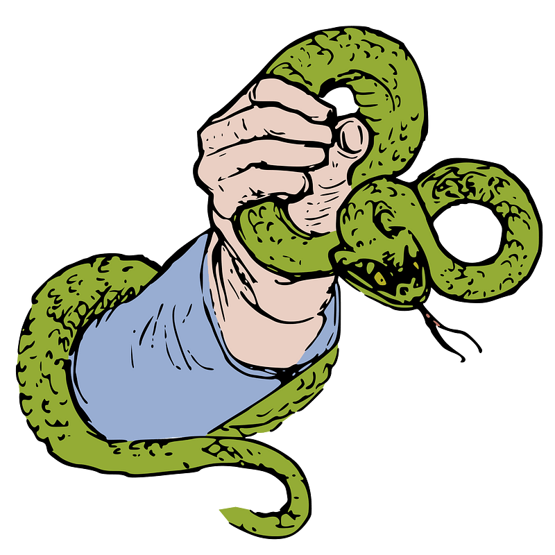 Hand Holds a Snake 2 - Colour