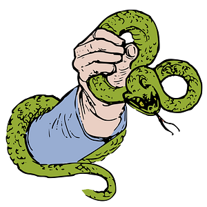 Hand Holds a Snake 2 - Colour