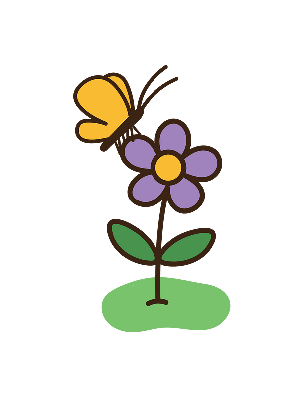Butterfly on Flower
