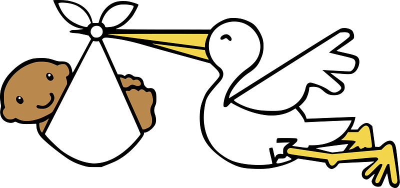 Stork with a African Baby