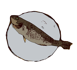 Fish on a Plate