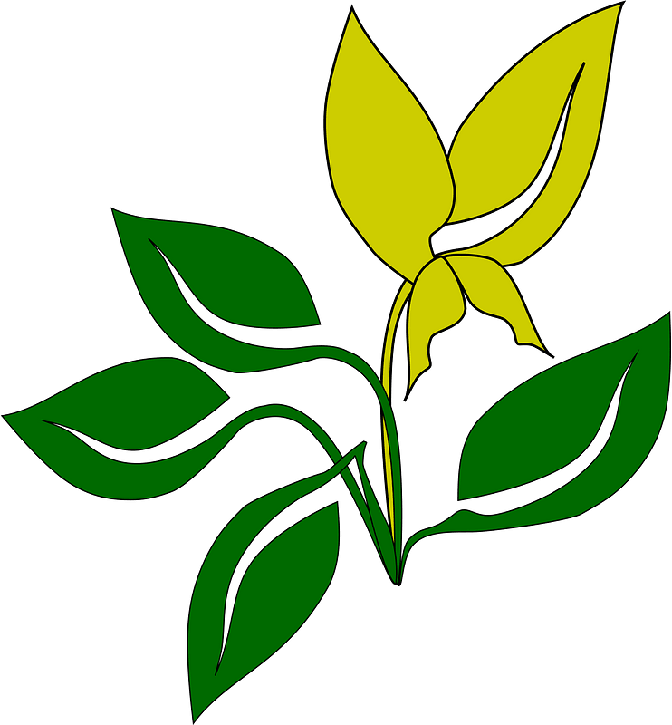 Blomma