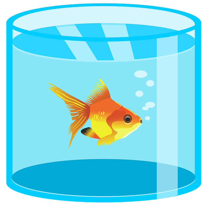 Aquarium with golden fish