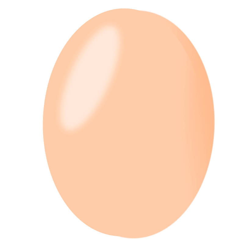 Egg