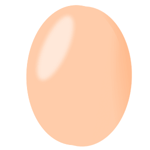 Egg