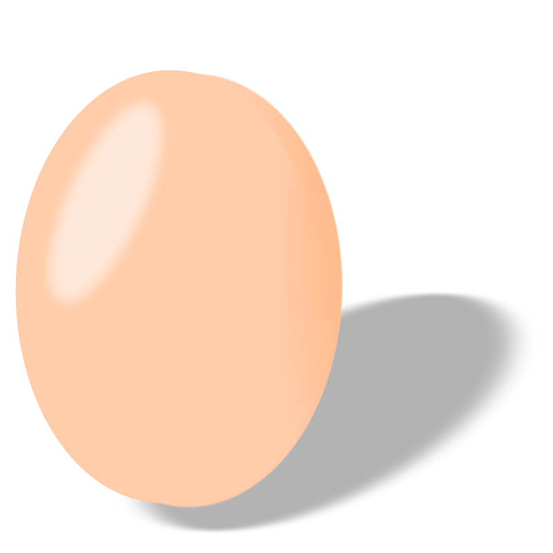 Egg 2
