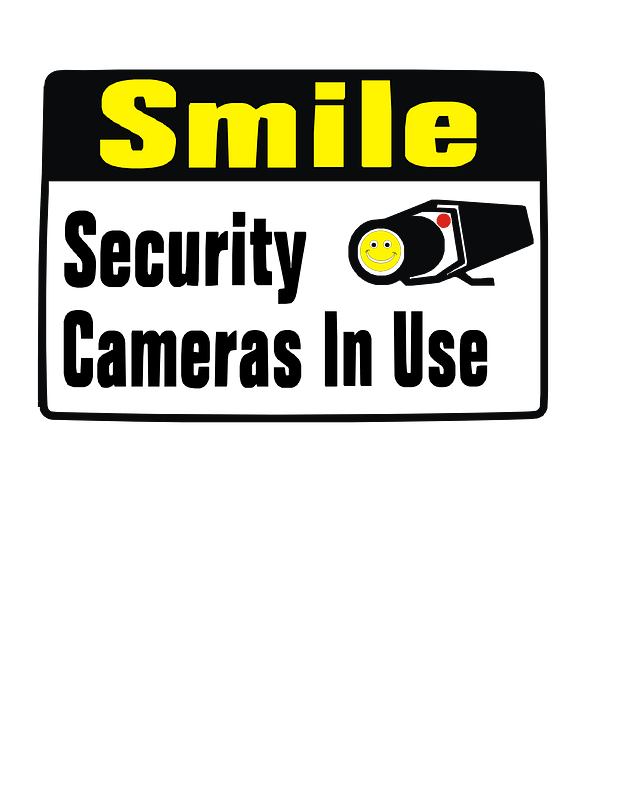 Smile Security Cameras in use