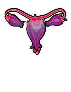 Feminine flower