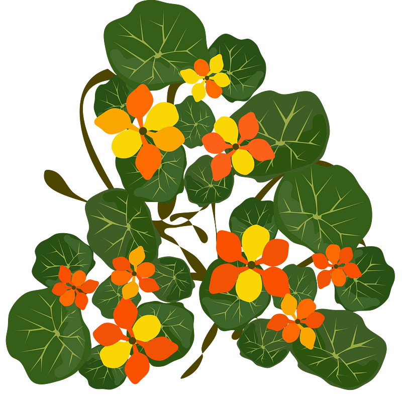 花