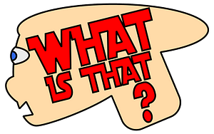 What is that?
