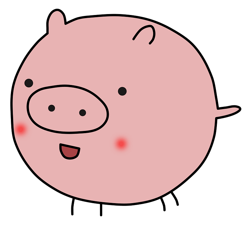 Pig