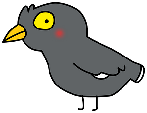 Javan Myna