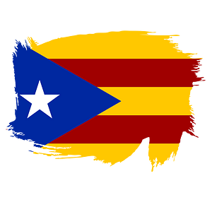 Catalan Independentist Brush Flag