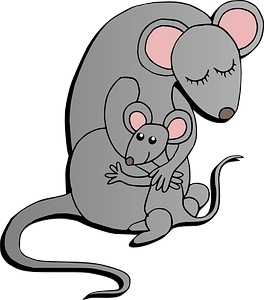 Rat Family - Colour