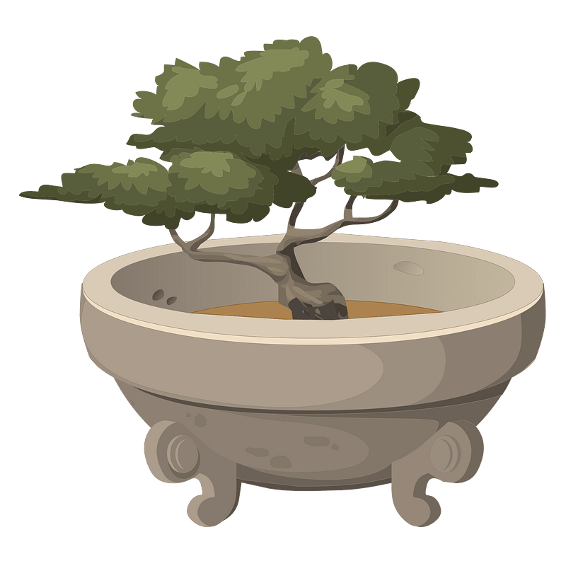 Bonsai in a Pot