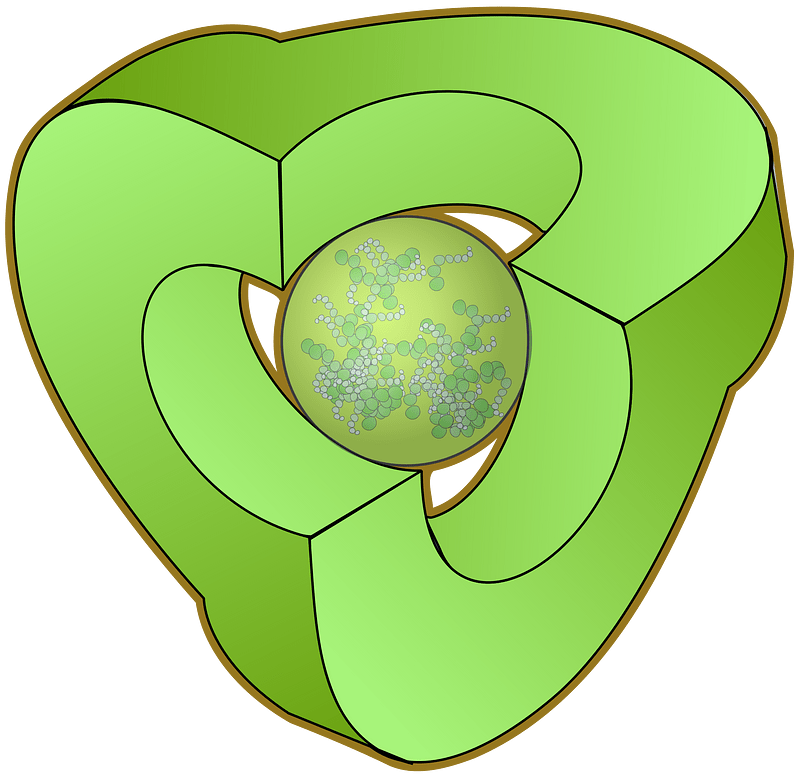 nucleus
