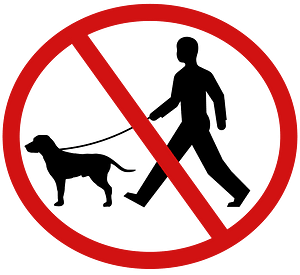 No Dogs Allowed 1
