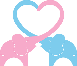 Elephant Couple By Linnaea Mallette Isolated Vectorized